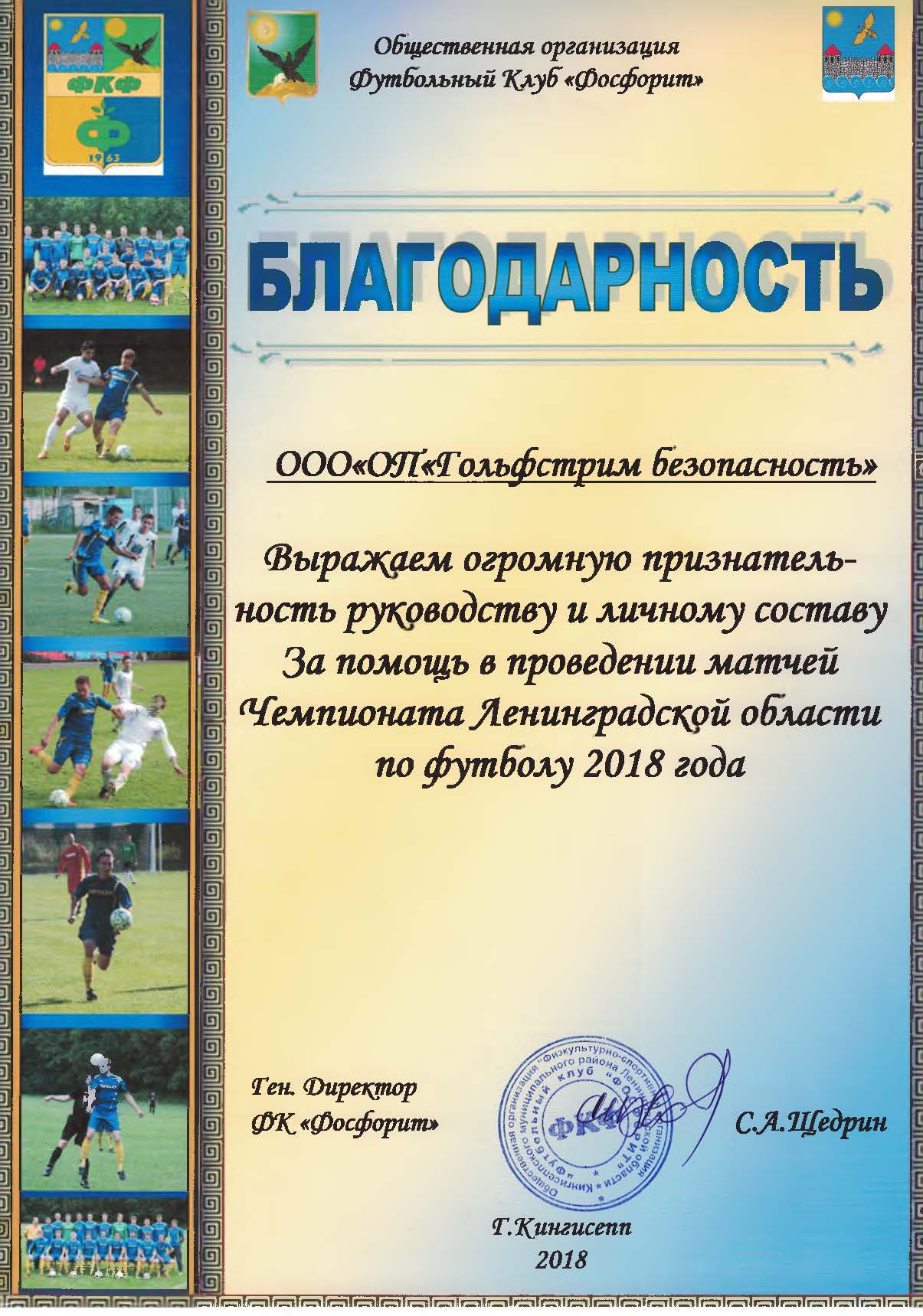 Новые методики технодайвинга